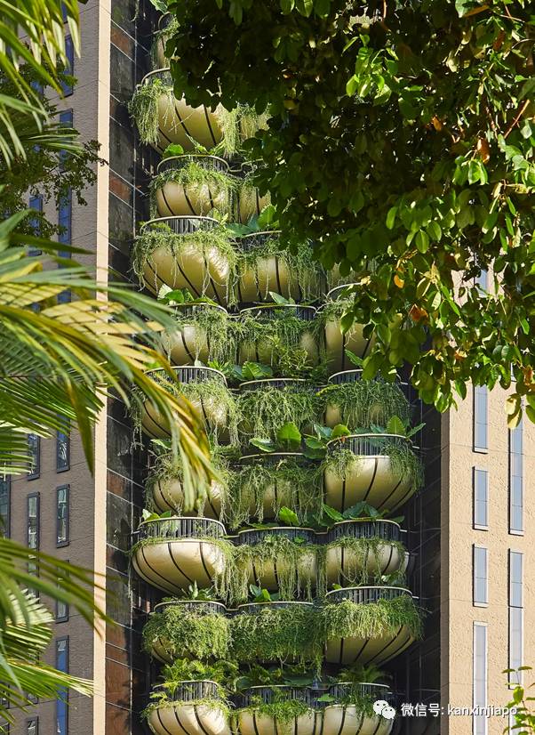 3亿新币买下乌节路整栋20层公寓买家浮出水面,原来是这对父子