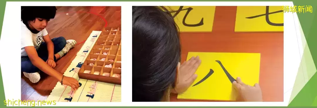 混齡教學、注重探索,新加坡最受歡迎的19間蒙氏幼兒園推薦