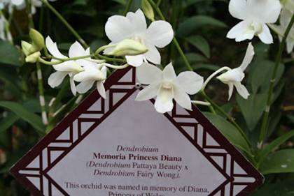 【新加坡留学】我很小,可是我拥有2项世界文化遗产