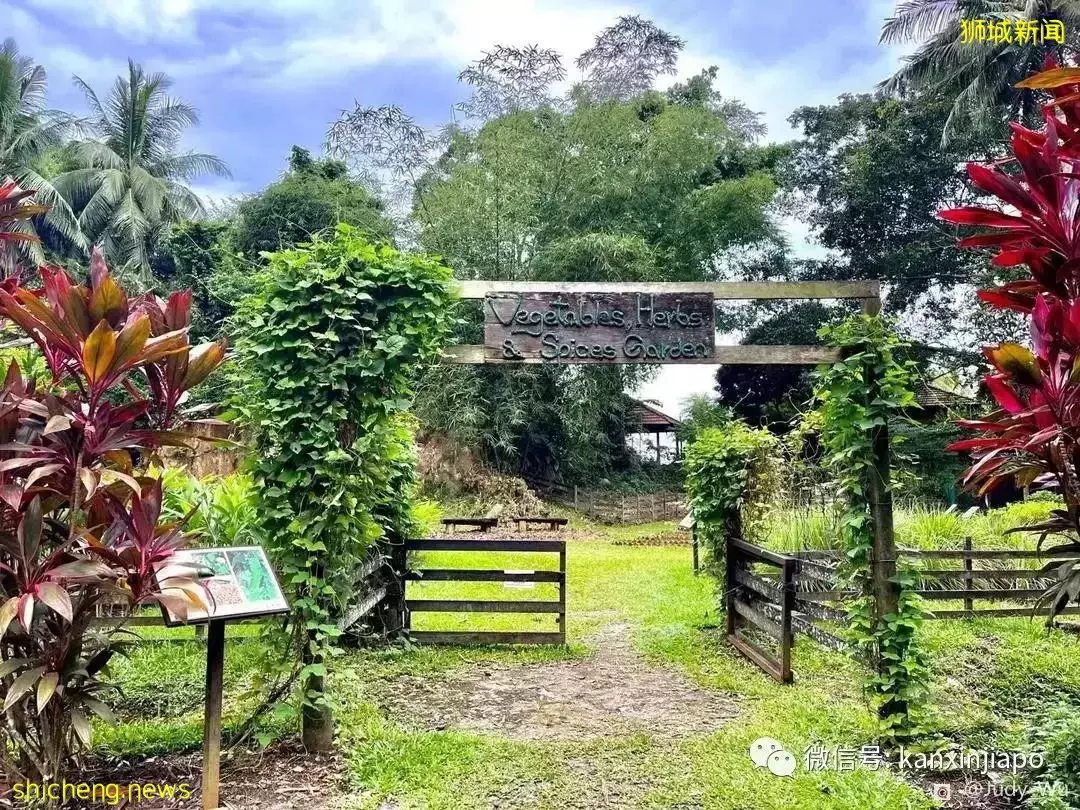 去过新加坡这个宝藏小岛吗？附交通、餐饮全攻略