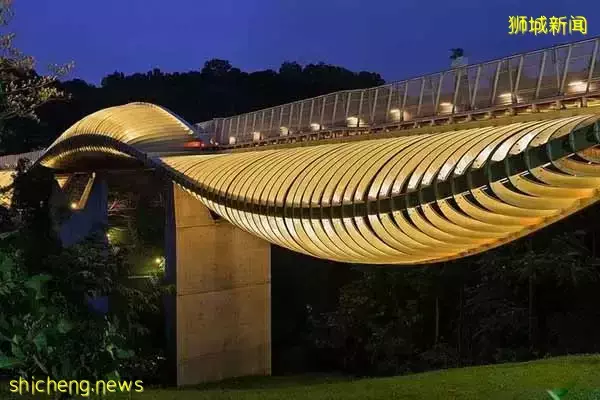 新加坡南部要建新公园,占地200公顷!这些地方太美了打卡必去