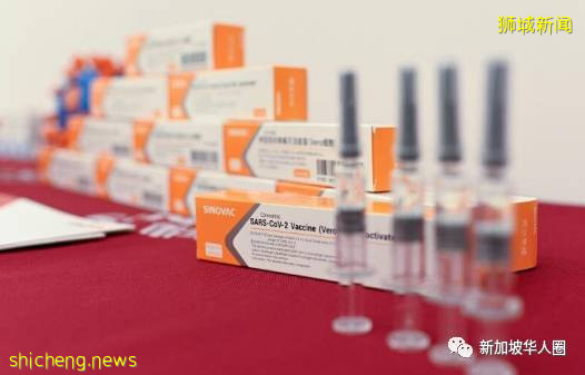 科兴疫苗运抵新加坡近3个月还未批准！是否会过期？官方最新回应
