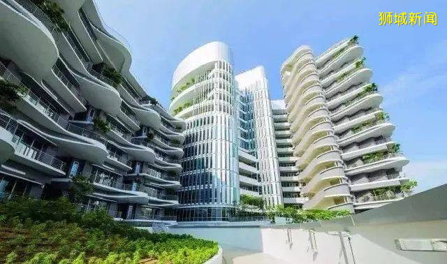 新加坡護理行業淺談