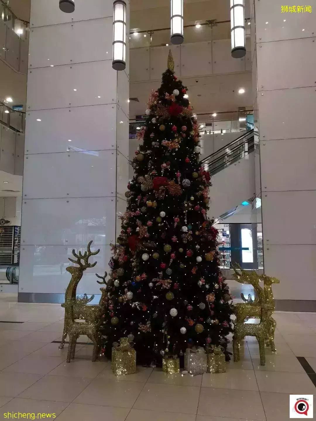 乌节路圣诞装饰实拍!全新加坡2021年最美圣诞树即将揭晓