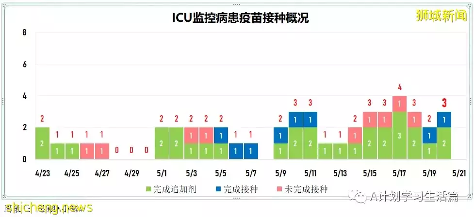 新加坡冠病病例回落至4000起以下報3775起，無新增死亡病例