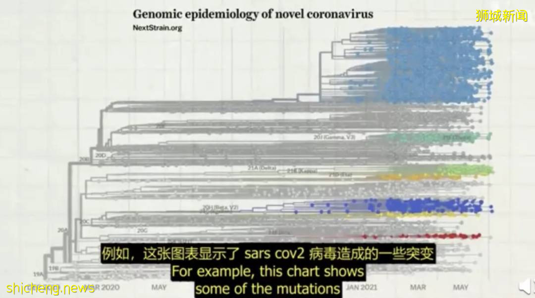 部長:下周或日增3200例,最新入境中國隔離政策