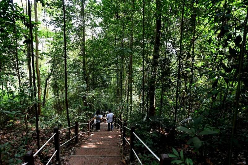 吐血整理！2020年新加坡30個最值得去的免費地方，你打卡沒