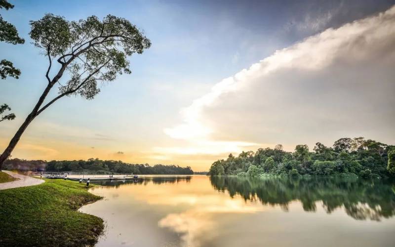 WHO点名表扬新加坡，这个抗疫典范的国家用血清查传播链