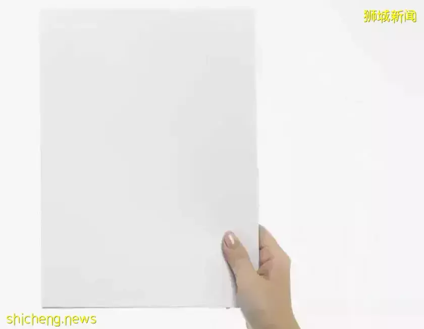 新加坡人搭飞机欲望有多强？排队排的老娘腰疼