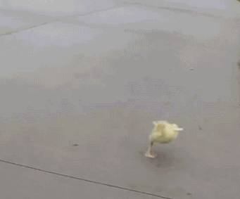 新加坡一老男人醋劲上头砍“情敌”,网友:和女生并排走这么大风险