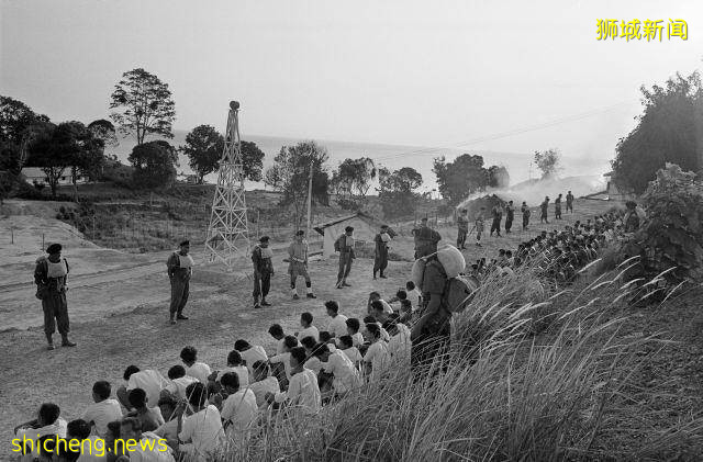 新加坡安乐岛,一个并不安乐的岛,揭开尘封已久的南洋往事