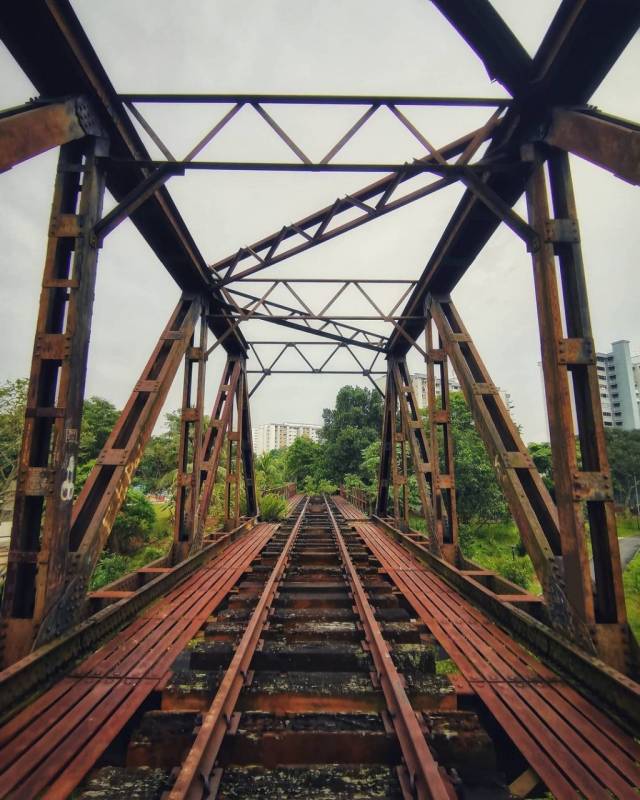 🚥通往裕廊的廢棄鐵路🚞 新加坡隱秘的角落，徒步探險、攝影愛好者秘密基地 🧭