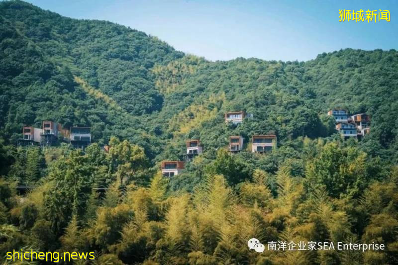 新加坡封城日记系列第三篇｜浙商，赏湖观潮，散作满天星