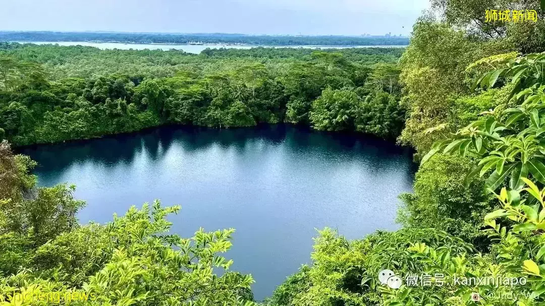 去过新加坡这个宝藏小岛吗？附交通、餐饮全攻略