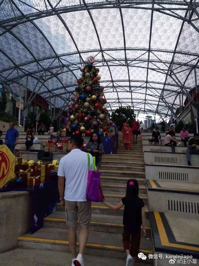 大S老公现身新加坡，最吸睛的居然是女儿？