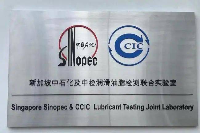 中新动态 中国新加坡行业“大咖”集结“献智”