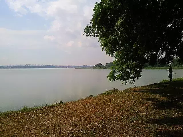 新加坡人深夜排队，翻新一年多的网红景点又开了