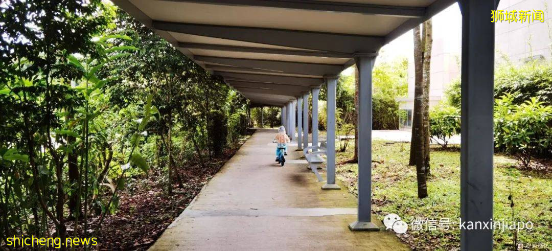 解锁新加坡遛娃宝藏地：世界遗产植物园之儿童乐园