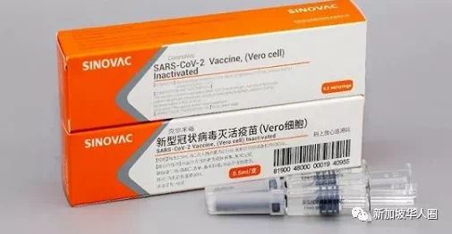 新加坡11827人接種疫苗後 出現副作用，嚴重或致命