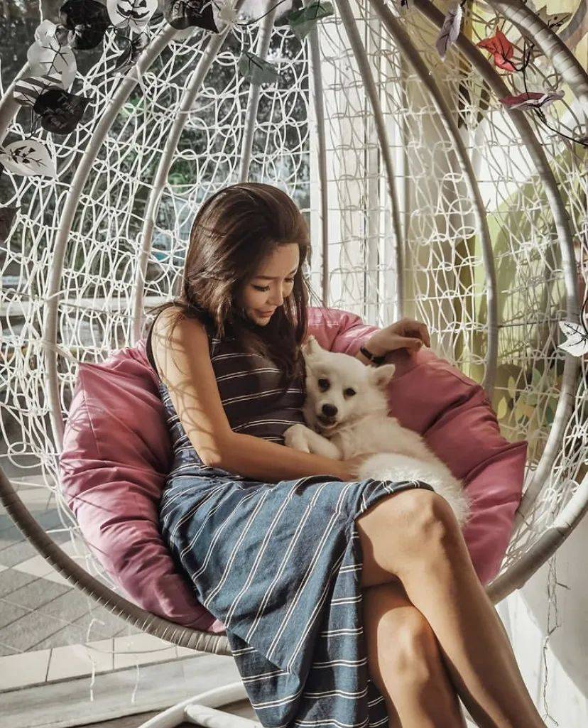 治愈系的它看一眼就愛不釋手！新加坡撸貓撸狗地圖來咯