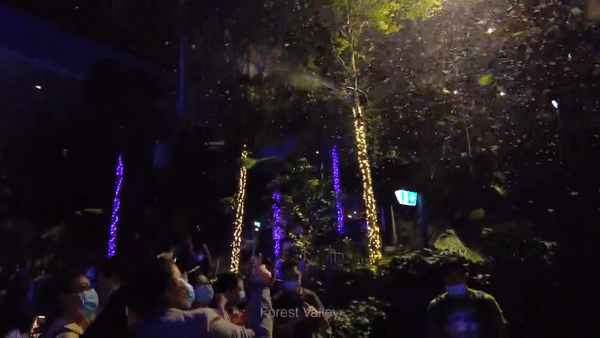 全岛狂欢，迎接美好未来。乌节路，星耀樟宜，滨海湾，这些你熟悉的地方