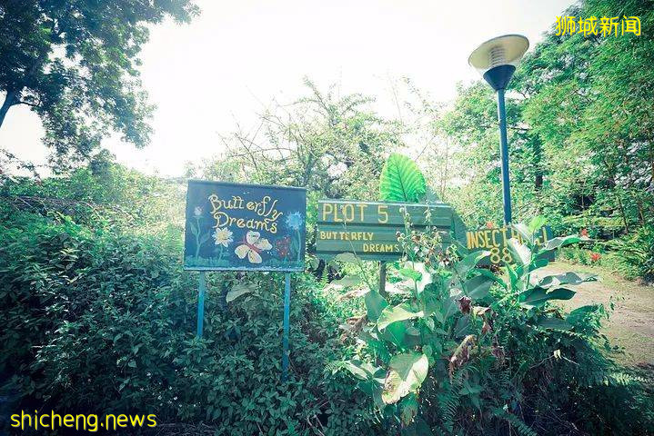 新加坡放宽旅游限制，小众网红景点等你来打卡