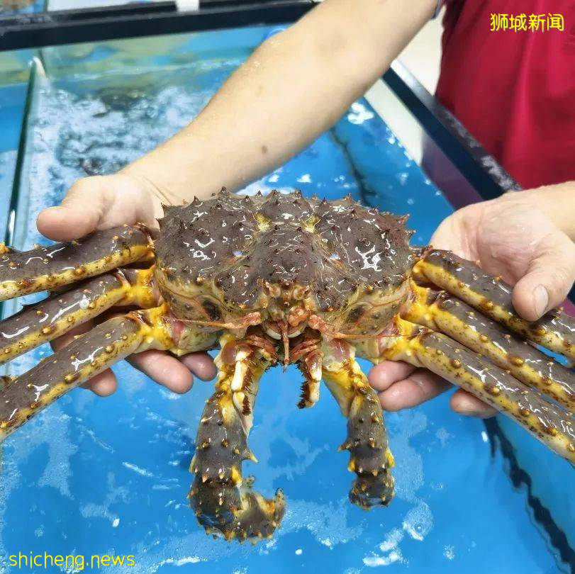 新加坡再次解封後，這家中國超市火了！80多種海鮮$2起！小龍蝦辣條包點東北大米扛回家