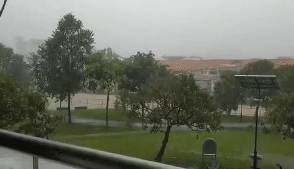 猶如世界末日!實拍新加坡被海嘯雲“吞沒”!暴雨、發大水、樹倒