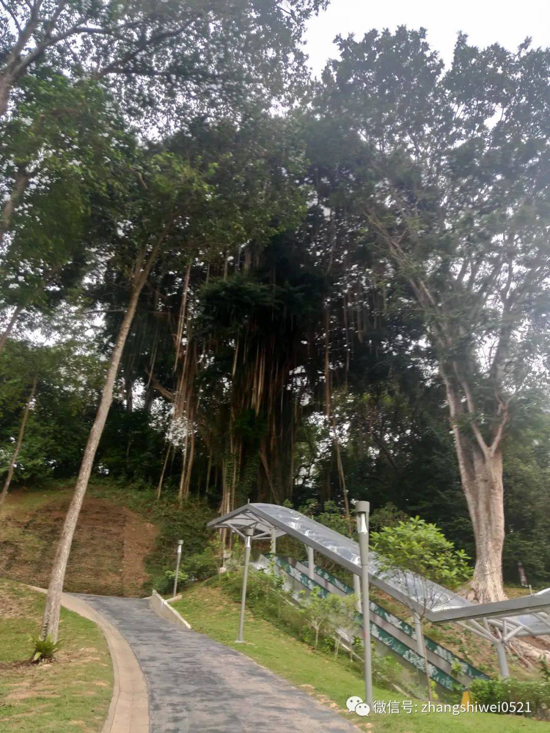 新加坡遊記系列 常規又不常規的獅城遊覽