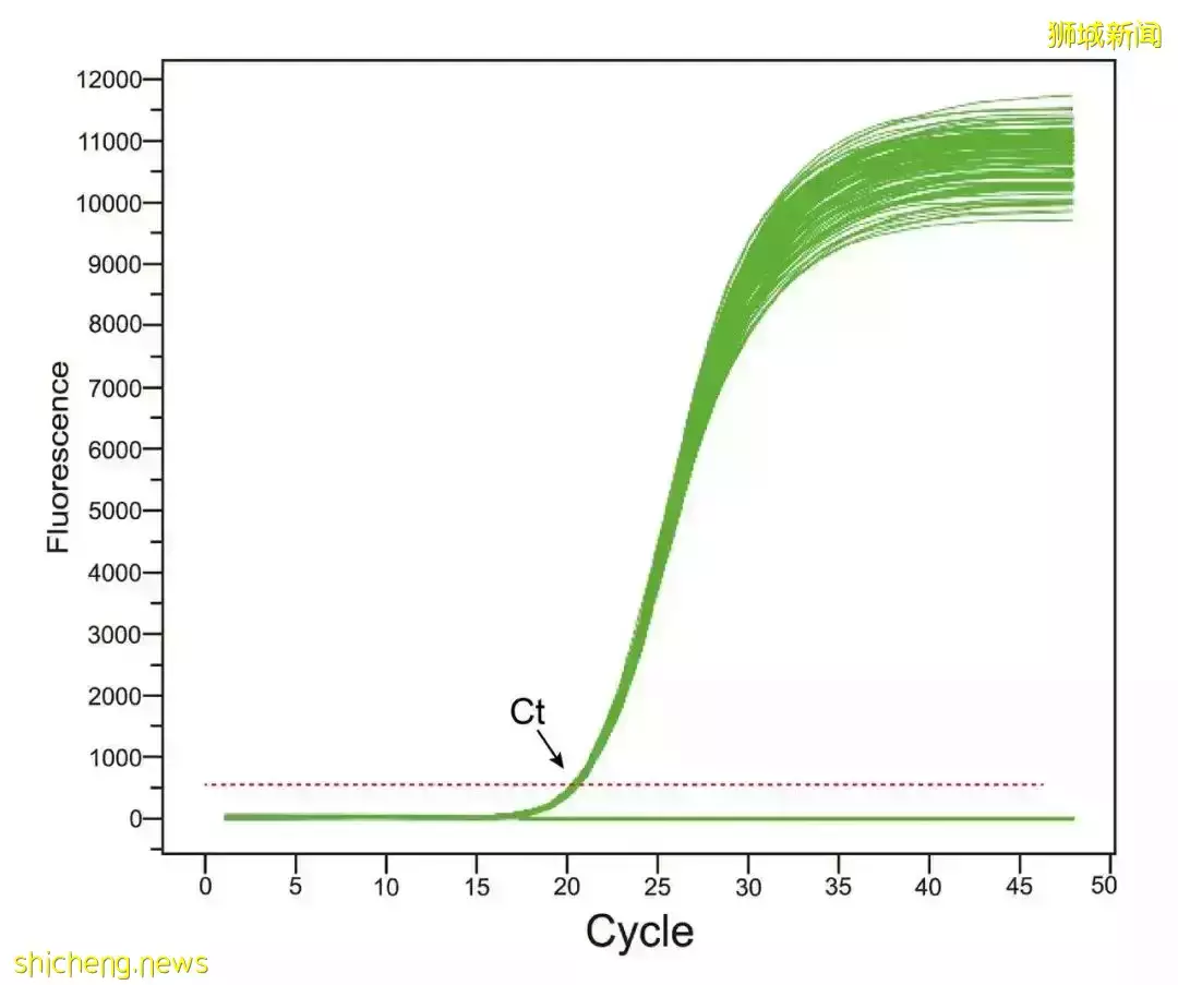 重磅!中國核酸檢測標准放寬,從新加坡回國他們不再是“小陽人”!航班或免于熔斷