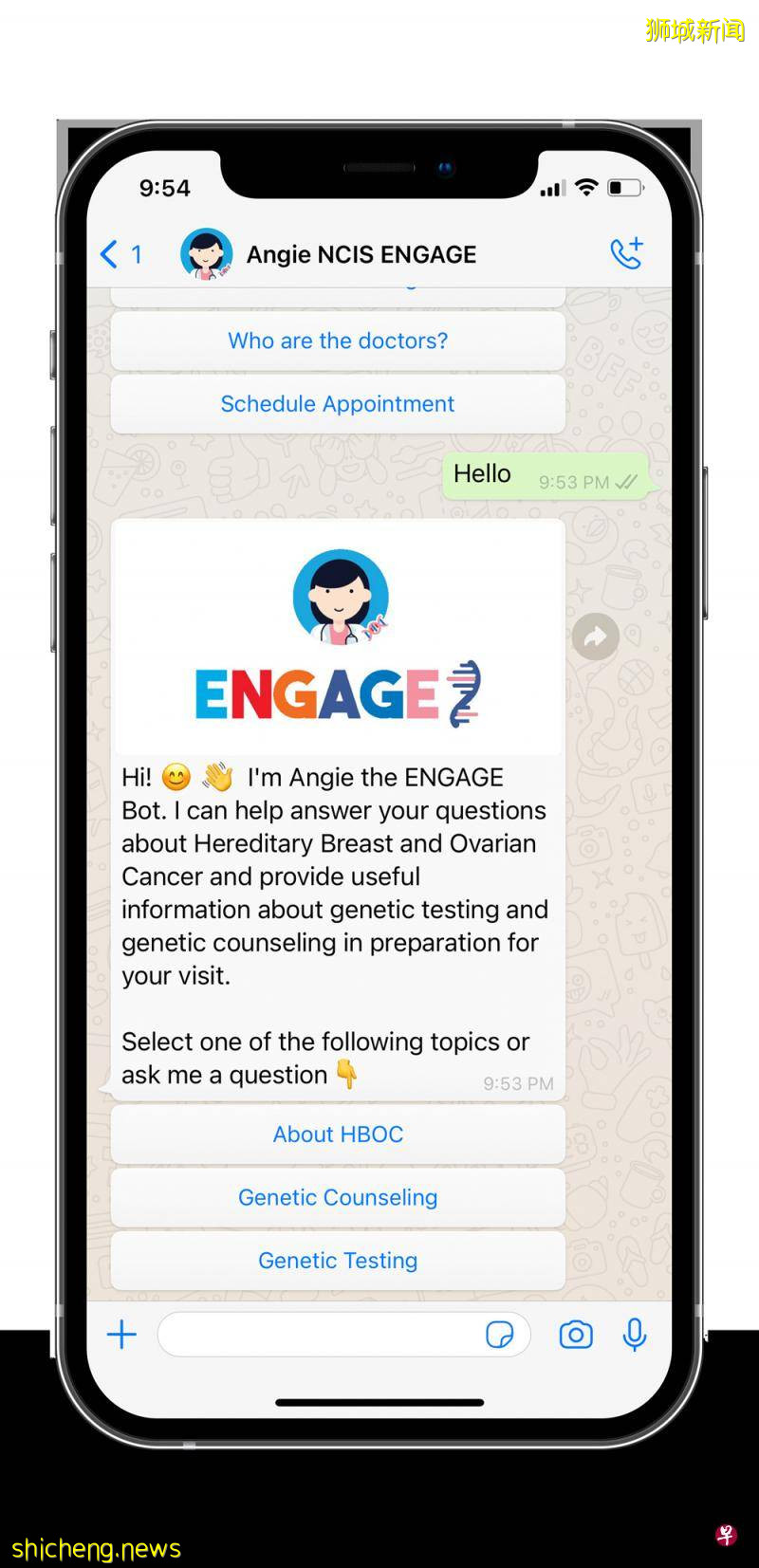 新加坡推出聊天机器人 解答遗传性乳癌等问题