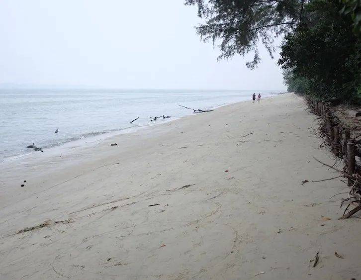 赶海、游泳、冲浪、挖沙！新加坡最棒的14个海滩，我们帮你找到啦