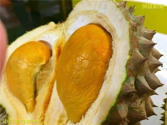 榴梿季到!泰國和馬來西亞的榴梿誰家的最好吃