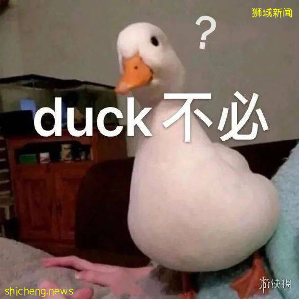 【新加坡留學】22年新加坡碩士春季入學末班車來了！錯過再等一年