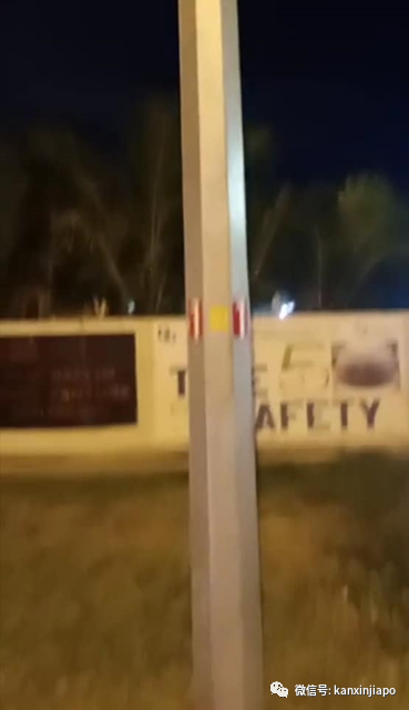 坡岛政府批了！贴纸尽量往这支灯柱上贴，越多越好