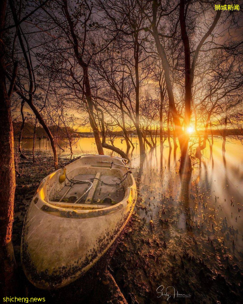 “Jenal Jetty”新加坡最后一个渔村!无水电、无网络🌐不开放给公众进入、只能在义顺水坝遥望😭