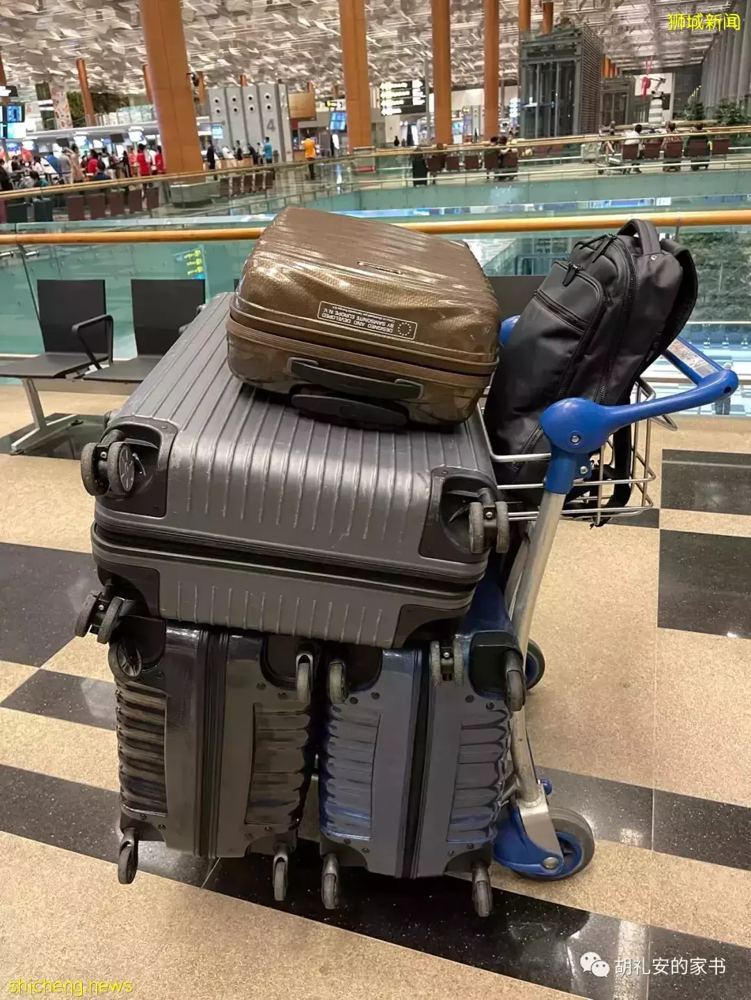 全過程記錄!4月4日從新加坡飛往封城中的上海,入境隔離多圖