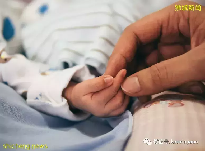 新加坡堕胎合法吗?女性有堕胎自由吗