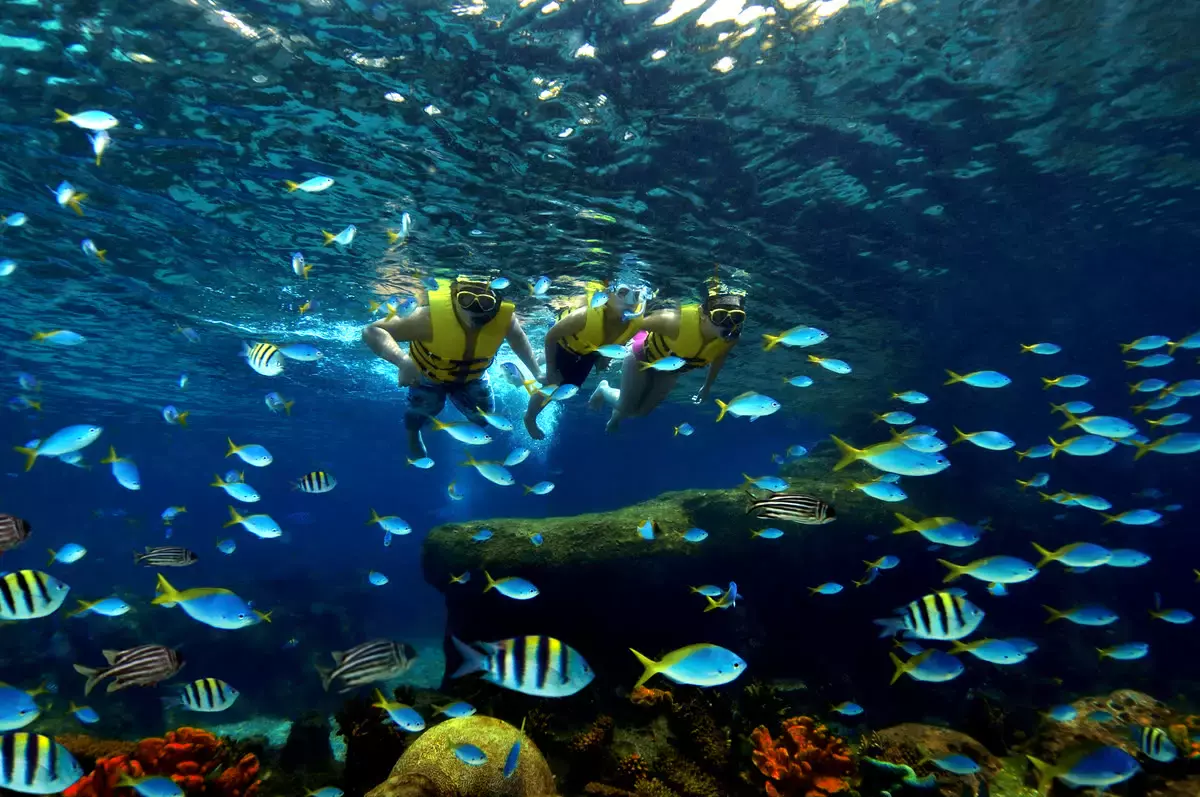 新加坡親子遊景點推薦之：聖淘沙水上探險樂園