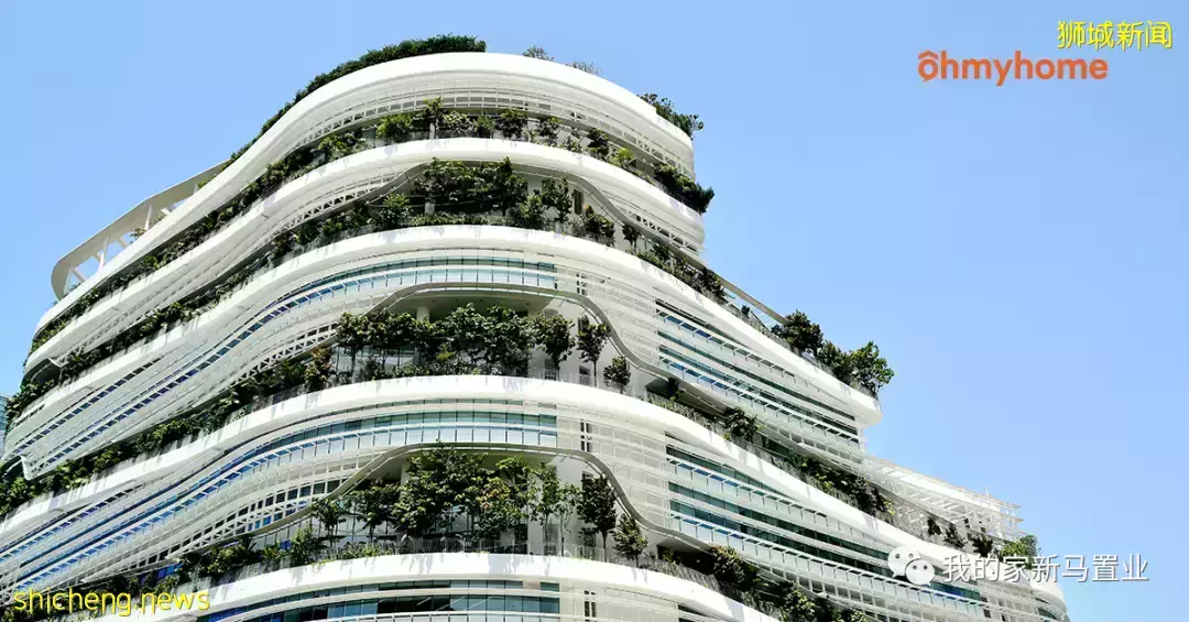 新加坡公寓租房指南: 地点、价格、面积如何选择