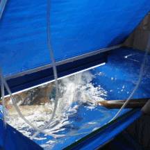 買一送一的烤魚和啤酒，拿來吧你