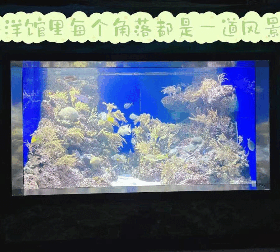 免费亲子陶艺、海洋馆夏令营、$15.9西餐自助、$1披萨、美妆2折、邮轮大促