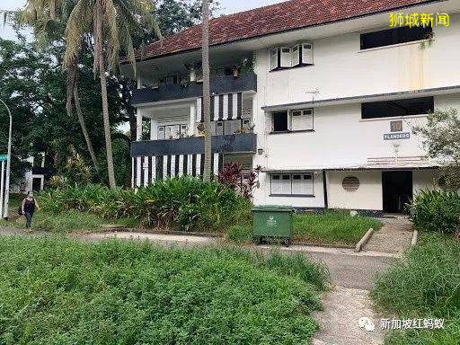 重新发现新加坡 东陵福有你未曾注意过的精彩