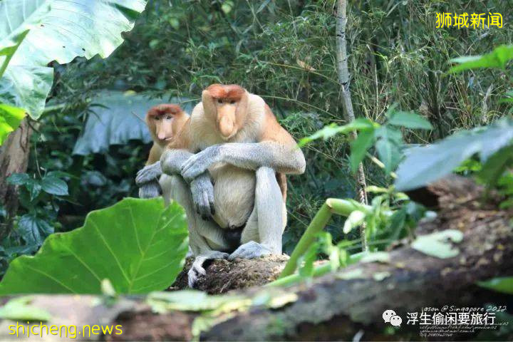 新加坡拍照圣地