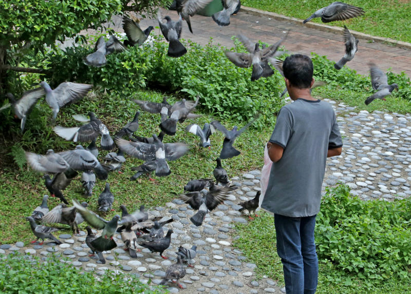 鸟患之患不在鸟　是谁侵犯了谁的地盘？