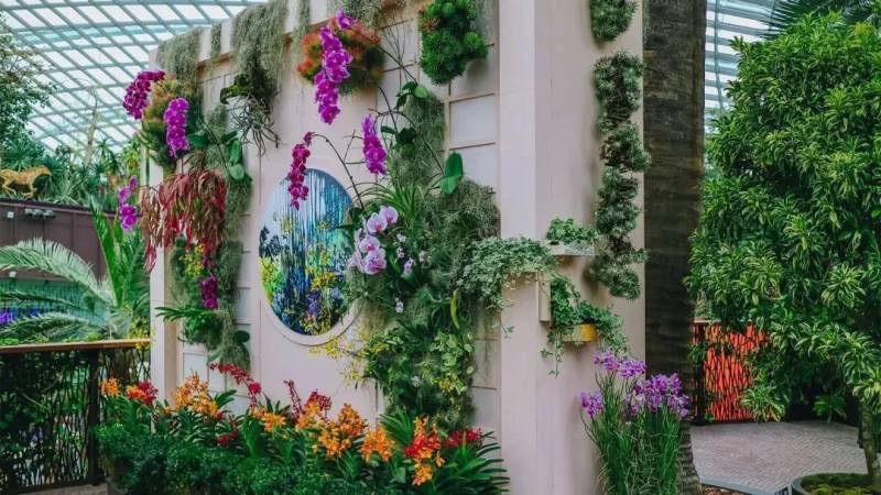 【周末去哪】218米觀景台免費,$12皮劃艇,5折耐克,母嬰特賣