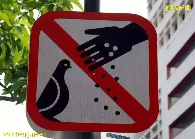 留學新加坡，不想受鞭刑，一定先看看這些