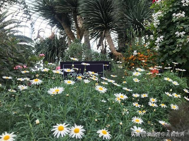 豪哥帶你看世界：新加坡不枉此行的12大看點（下）分三集介紹