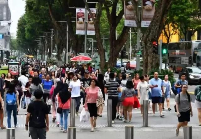 给大家讲讲新加坡本地人