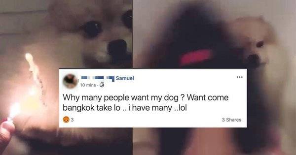 头盔敲 火烧毛 狮城男虐狗 犯众憎